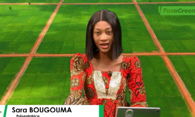 Capture decran 2025 11 18 191014 JT DU 18 NOVEMBRE 2025: Retrouvez le journal de 18h45 avec Sara BOUGOUMA