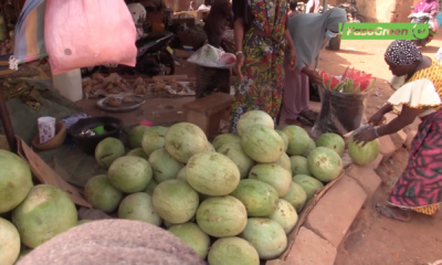 Capture decran 2025 11 21 a 09.42.24 Consommation de la pastèque à Ouagadougou : Constat dans un marché