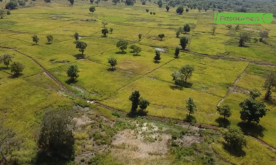 Capture decran 2025 11 26 092530 Convention sur la diversité biologique : Le Burkina avance dans l'élaboration de son plan d'action