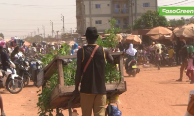 cap 3 2 Zoom sur Yacouba BAGAGNAN : Un vendeur ambulant de plantes