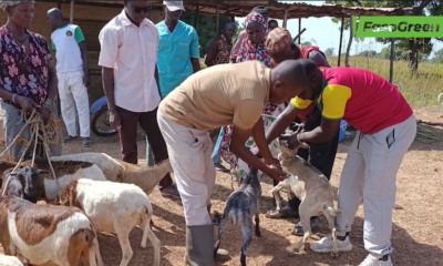 cap 4 Tour d'horizon du 3 Novembre 2025