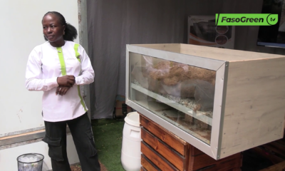 vlcsnap 2025 11 11 10h08m19s965 2ème édition du SITAHO : Zoom sur quelques innovations de la foire d’exposition