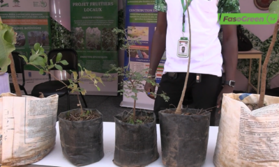 CAP2 1 Journées Scientifiques de l’INERA : C’est parti pour la première édition