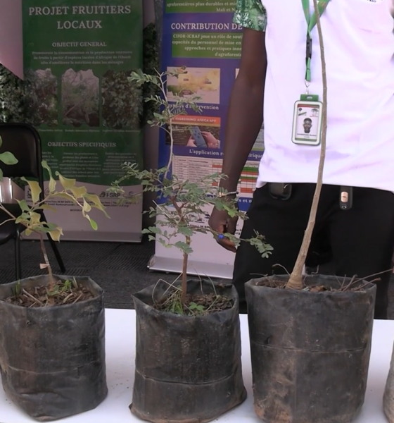 CAP2 1 Journées Scientifiques de l’INERA : C’est parti pour la première édition