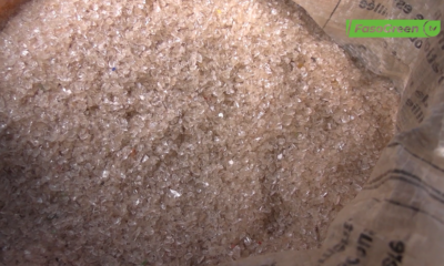 CAP2 JFEC 2025 : Une foire d’exposition tournée vers l’innovation verte