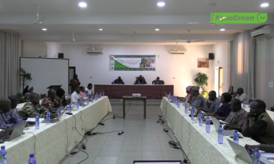 Capture 1 1 2ème session 2025 du PGPC/REDD+: Le CoPil accélère la gestion durable des paysages communaux