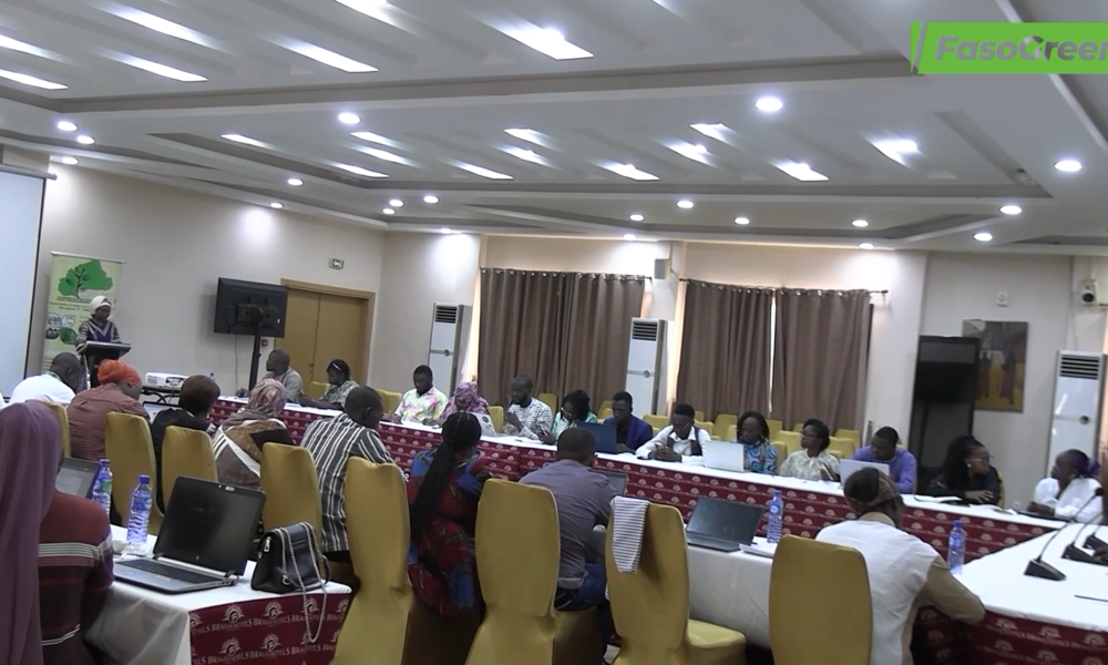 Capture ELEMENT 1 Justice climatique : Un atelier panafricain réunit 9 pays à Ouagadougou