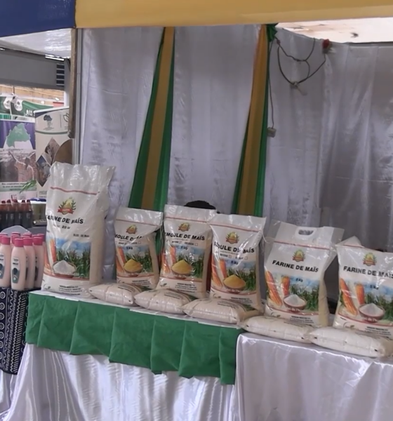 Capture ELEMENT 2 13ème édition des Journées Agroalimentaires : Zoom sur deux structures de transformation des produits locaux