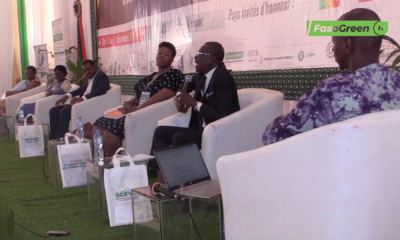 ACADEMIENATIONALE ECONOMIE VERTE