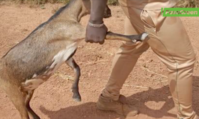 CAP 4 Tour d’horizon du 22 janvier 2026