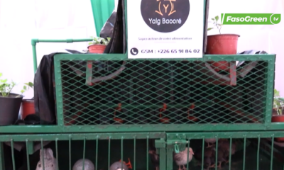 CAP2 Yalbaoré : Des kits écologiques pour produire bio et optimiser son espace