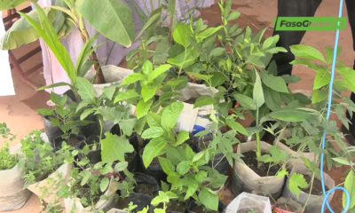 Capture III 2 La pépinière Tisnaaba : une structure engagée dans la préservation des écosystèmes