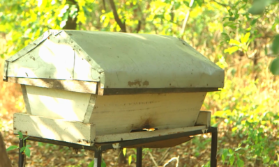 Capture ZOOM PGPC/ REDD+ : Zoom sur Boureima NEBIE ; un producteur apicole