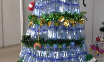 Valorisation des déchets : Eco Trico et Création fait des merveilles