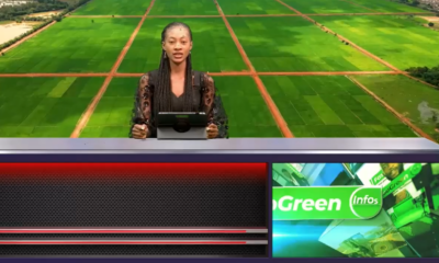 JT DU 20 JANVIER 2026 : Retrouvez le journal de 18h45 avec Sara BOUGOUMA