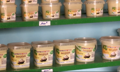 KARITE Diébougou : le karité, moteur d’autonomisation des femmes grâce au PGPC/REDD+