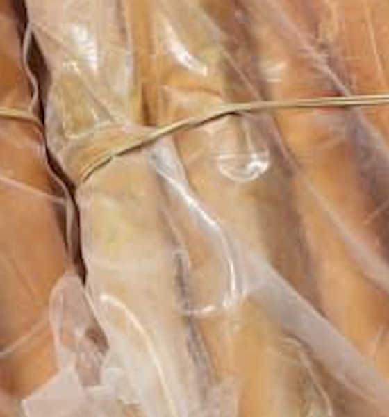 cap4 1 TOUR D'HORIZON DU 21 janvier 2026