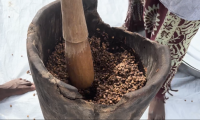 neere Les graines de néré : une richesse au service des femmes