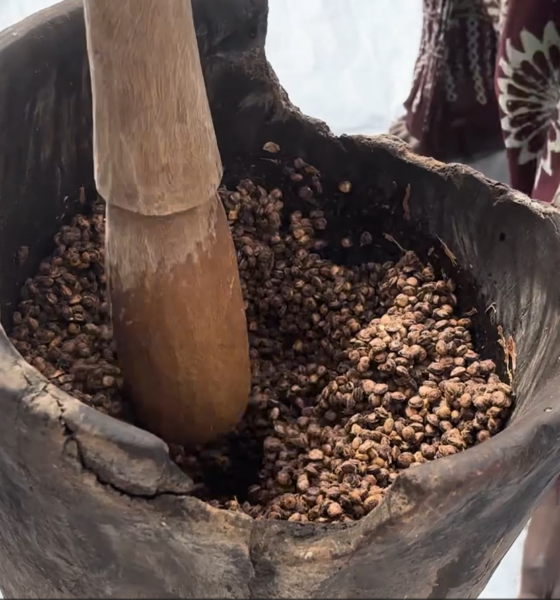 neere Les graines de néré : une richesse au service des femmes