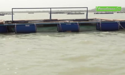 vlcsnap 2026 01 16 08h23m52s581 Reconversion des éléments des forces armées nationales : Des kits de pisciculture en cages flottantes remis à une centaine de bénéficiaires 