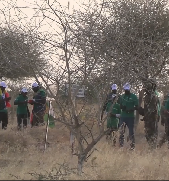 3 1 Initiative pour l’Arbre : Une association de jeunes au cœur de l’action environnementale au Niger