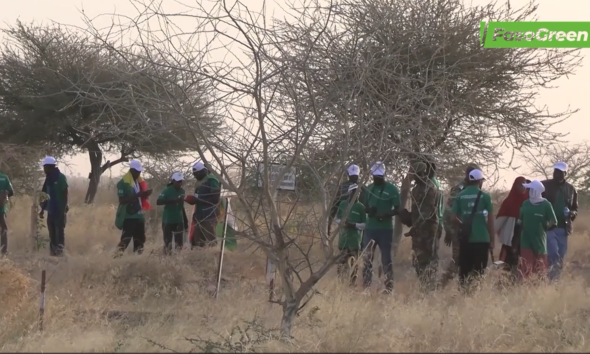 3 1 Initiative pour l’Arbre : Une association de jeunes au cœur de l’action environnementale au Niger