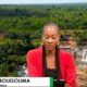 Capture decran 2026 02 02 181036 JT DU 02 FEVRIER 2026 : Retrouvez le journal de 18H 45 avec Sara BOUGOUMA