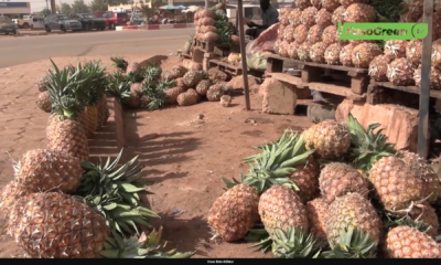 Capture d’écran 2026-02-11 à 10.49.09