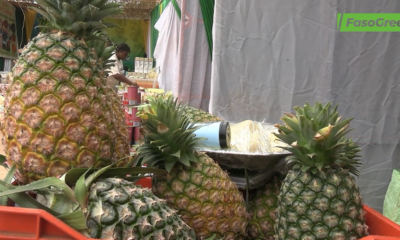 cap003 Produire local, transformer local : La ferme agricole Djoda et l’unité de transformation Rose Eclat à la SOAPH