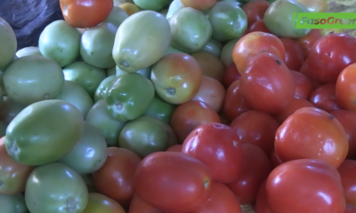 cap1 Entreprenariat communautaire au Burkina Faso : Des souscripteurs satisfaits des résultats