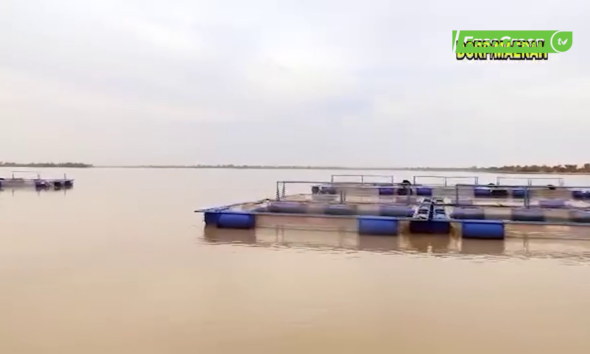 vlcsnap 2026 02 06 09h35m46s982 Tour d’horizon : Quelques actualités du MAERAH