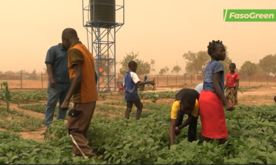 2 Jardins nutritifs scolaires : Quand l’école cultive la santé et le savoir