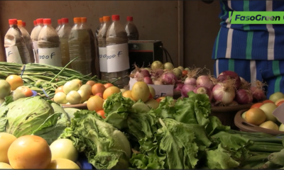 4 Des semences bio aux légumes frais : cap sur l’agroécologie scolaire au Burkina Faso