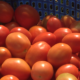 CAP002 Suspension de l’exportation de la tomate : Le MAERAH donne des éclaircissements