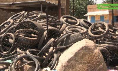 CAP01 Journée mondiale du recyclage : Zoom sur quelques acteurs