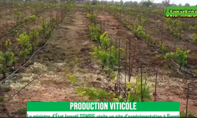 Capture d’écran 2026-03-05 115640