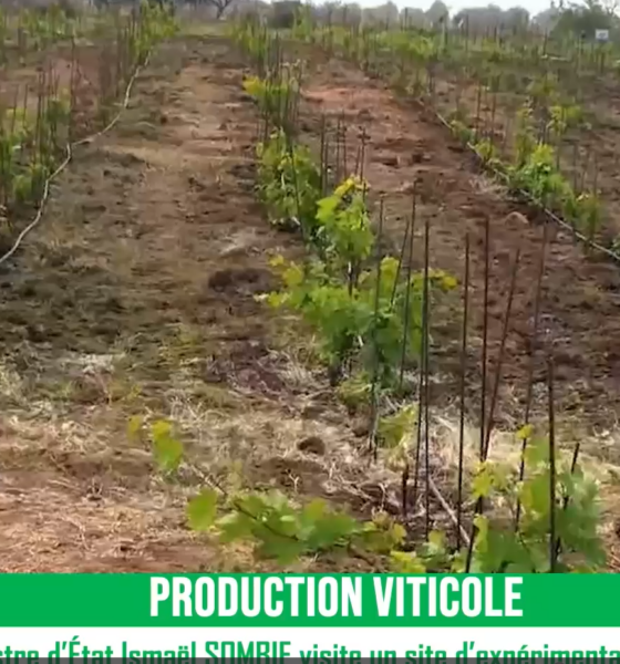 Capture d’écran 2026-03-05 115640