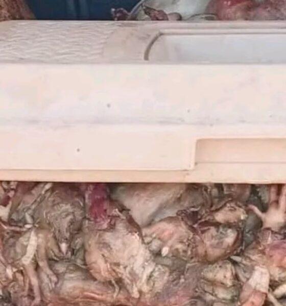 Tour d’horizon du 10 mars 2026