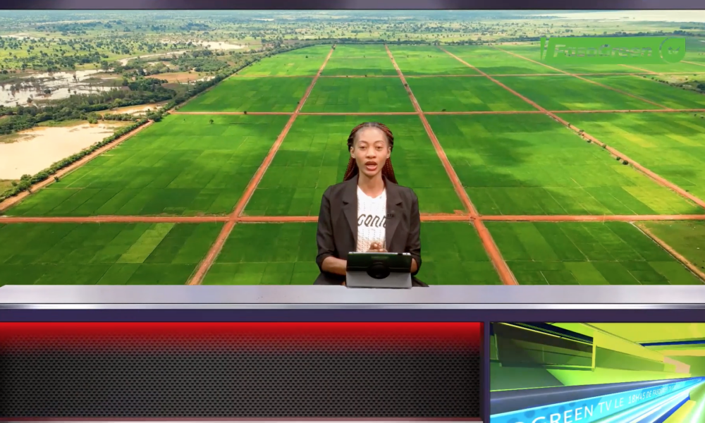 JT DU 17 AVRIL 2026 : Retrouvez le journal de 18h45 avec Sara BOUGOUMA