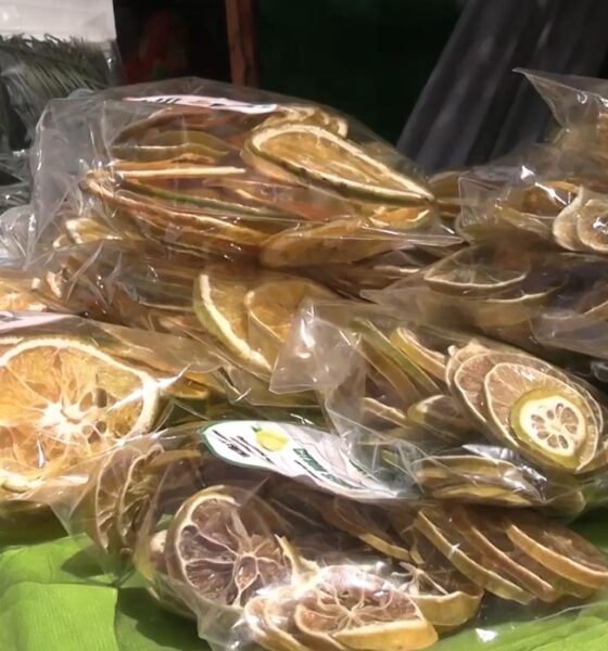 3. Saveurs du soleil : Une structure qui produit et commercialise des fruits et légumes séchés