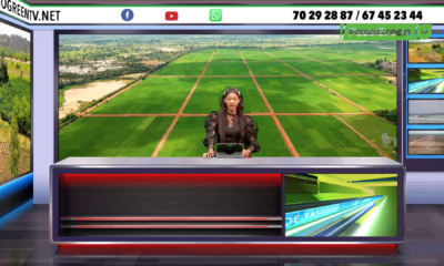 Capture decran 2026 03 31 a 18.29.00 JT DU 31 MARS 2026