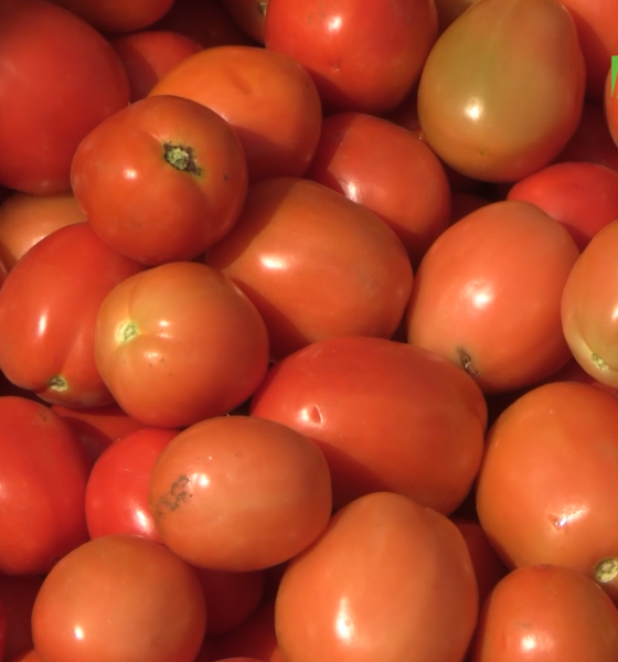 TOMATE Tomate fraiche du Burkina : le gouvernement suspend les exportations