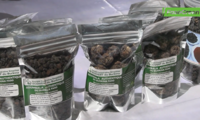 cap 2 4 Transformation PFNL : Ecovert Burkina en première ligne