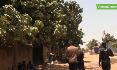cap003 2 Plantations d’arbres devant des concessions à Karpala : Une initiative qui porte ses fruits près de 10 ans après
