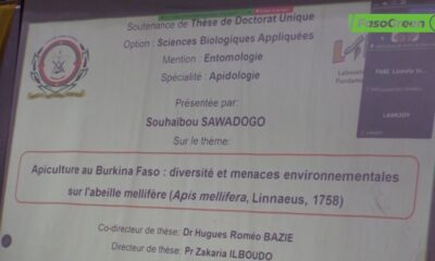 Université Joseph KI-ZERBO : Souhaïbou SAWADOGO désormais Docteur en Entomologie/Apidologie
