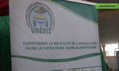 Valorisation du riz local : le PIGO plus renforce les capacités de 34 coopératives féminines