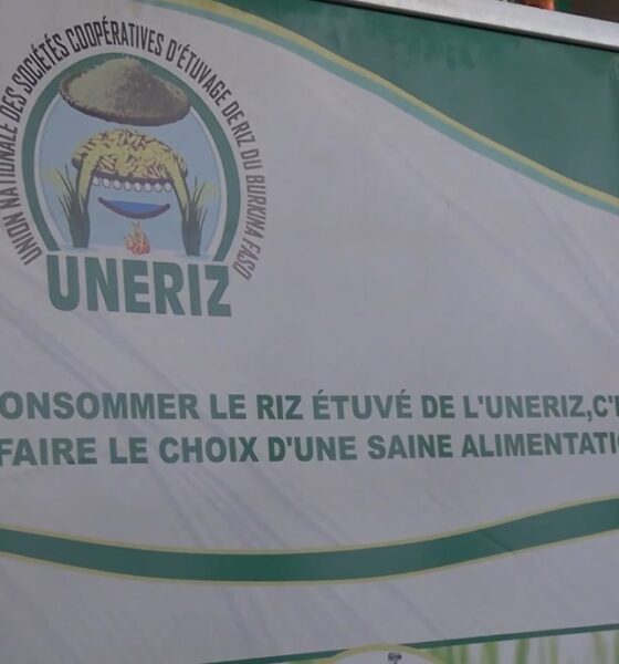 Valorisation du riz local : le PIGO plus renforce les capacités de 34 coopératives féminines