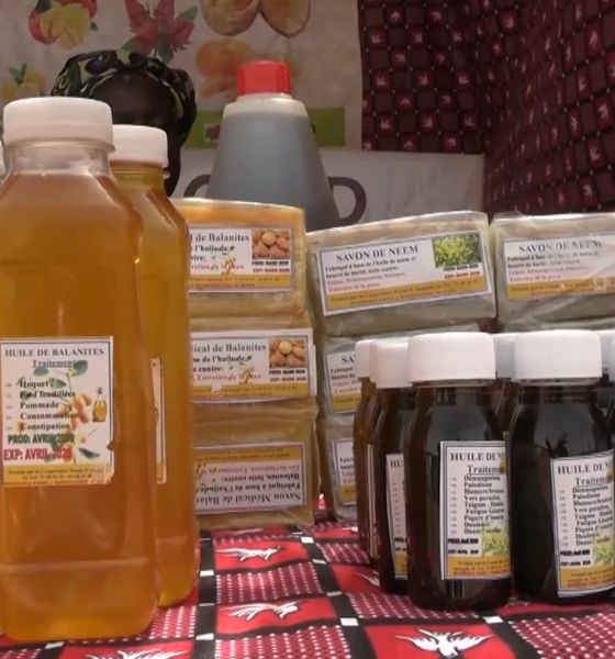 Capture decran 2026 04 18 092518 72 heures du secteur informel : La 1ère édition tenue du 14 au 16 Avril 2026