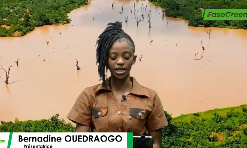 Capture decran 2026 04 18 095932 JT DU 17 AVRIL 2026: Retrouvez le journal en mooré avec Bernadine OUEDRAOGO