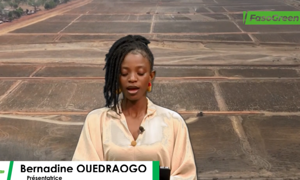 Capture decran 2026 04 21 081909 JT DU 20 AVRIL 2025: Retrouvez le journal en mooré avec bernadine OUEDRAOGO